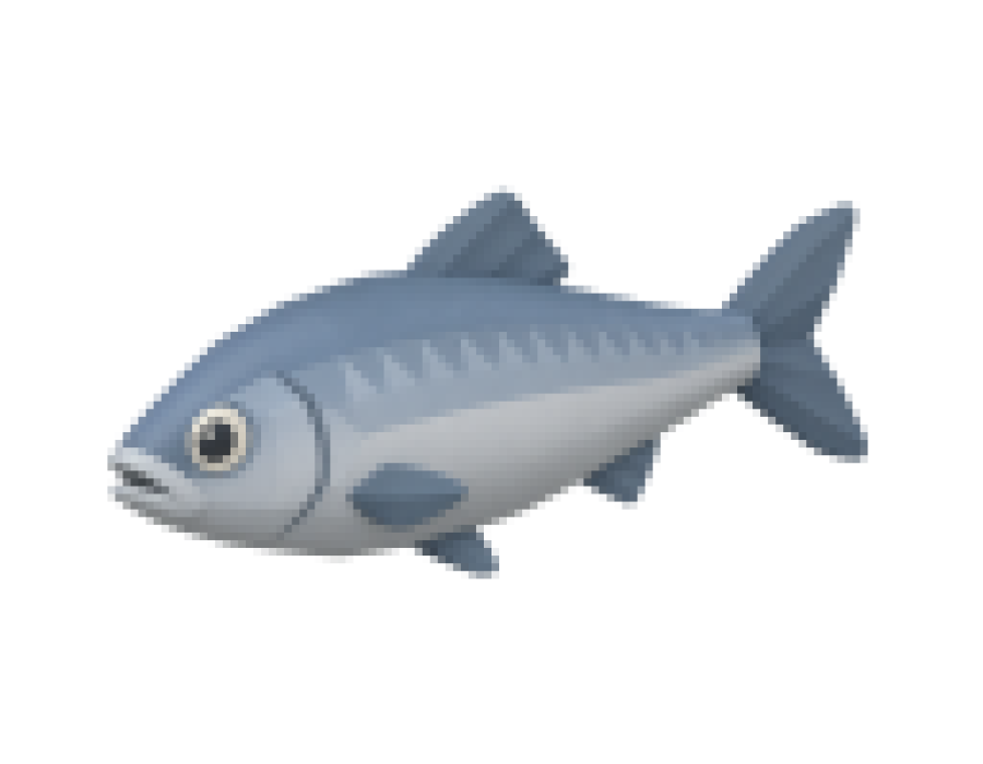 fish.png
