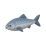 fish.png